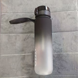 33.81 oz Multipurpose Polycarbonate Water Bottle - Leakproof, Insulated, Large Capacity PC Fitness, Student, Business, Hiking, Hot & Cold Beverage Container with Portable Handle