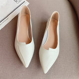 2025 999-3 Huidong women's shoes Korean version pointed head leather soft sole thick heel low heel shoes women's low heel two wear  single shoes women
