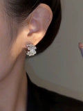 Exquisite light luxury zircon stud earrings  new popular simple super flash high-end earrings personalized silver needle earrings