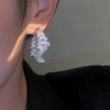 Light luxury zircon leaf earrings, women's niche high-end sense, front and rear earrings, light luxury sterling silver needle ear jewelry, new trend