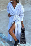 hulianfu Street Elegant Solid Asymmetrical Solid Color Turndown Collar Asymmetrical Dresses