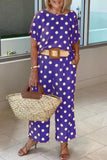 hulianfu Casual Polka Dot Patchwork O Neck Short Sleeve Two Pieces(5 Colors)