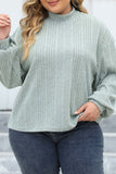 hulianfu Casual Solid Basic Turtleneck Plus Size Tops