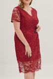 hulianfu Sexy Solid Lace V Neck Lace Dress Plus Size Dresses