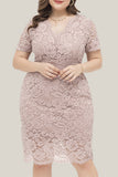 hulianfu Sexy Solid Lace V Neck Lace Dress Plus Size Dresses