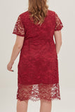 hulianfu Sexy Solid Lace V Neck Lace Dress Plus Size Dresses