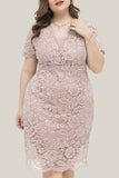 hulianfu Sexy Solid Lace V Neck Lace Dress Plus Size Dresses