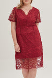 hulianfu Sexy Solid Lace V Neck Lace Dress Plus Size Dresses