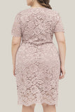 hulianfu Sexy Solid Lace V Neck Lace Dress Plus Size Dresses