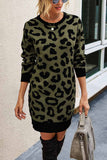 hulianfu hulianfu Leopard Print Oneck Mini Dress