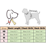 HULIANFU Winter Warm Pet Clothes For Small Dogs Windproof Pet Dog Coat Jacket Padded Clothing for Yorkie Chihuahua Puppy Cat Outfit Vest
