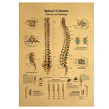 HULIANFU Spinal Column Chart Poster Human Anatomy Knee Joint Foot Posters and Prints Canvas Painting Wall Art For Room Home Decoration