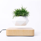HULIANFU Magnetic suspension flower pot Levitating Air Bonsai Pot plant pot succulent pot patio decoration Desktop Flower/Green Plant
