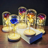 HULIANFU Valentines Day Gift for Girlfriend Eternal Rose LED Light Foil Flower In Glass Cover Mothers Day Wedding favors Bridesmaid Gift