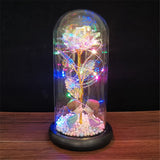 HULIANFU Valentines Day Gift for Girlfriend Eternal Rose LED Light Foil Flower In Glass Cover Mothers Day Wedding favors Bridesmaid Gift