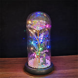 HULIANFU Valentines Day Gift for Girlfriend Eternal Rose LED Light Foil Flower In Glass Cover Mothers Day Wedding favors Bridesmaid Gift