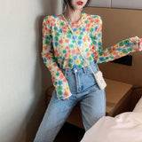 Hulianfu Angel Print Sheer Blue Black Mesh Long Sleeve Blouse Shirts Women Spring Summer Pullovers Elegant Sexy See Through Tops
