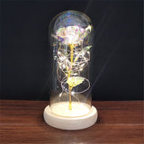HULIANFU Valentines Day Gift for Girlfriend Eternal Rose LED Light Foil Flower In Glass Cover Mothers Day Wedding favors Bridesmaid Gift