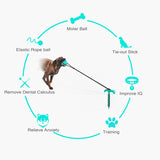 HULIANFU Training Stakes Portable Dog Leash Pile Tie-Out Stick Chew Toy Elasticity Chain for Outdoor Camping Backyard pet leash