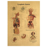 HULIANFU Spinal Column Chart Poster Human Anatomy Knee Joint Foot Posters and Prints Canvas Painting Wall Art For Room Home Decoration
