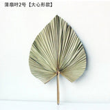 HULIANFU Palm Fan Leaf Palm Leaf Window Reception Party Art Wall Hanging Decoration Wedding Arch Arrangement