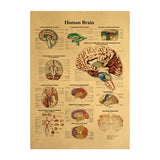 HULIANFU Spinal Column Chart Poster Human Anatomy Knee Joint Foot Posters and Prints Canvas Painting Wall Art For Room Home Decoration