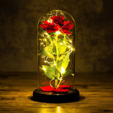 HULIANFU Valentines Day Gift for Girlfriend Eternal Rose LED Light Foil Flower In Glass Cover Mothers Day Wedding favors Bridesmaid Gift
