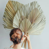 HULIANFU Palm Fan Leaf Palm Leaf Window Reception Party Art Wall Hanging Decoration Wedding Arch Arrangement