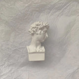 HULIANFU Nordic Mythology David Mini Statue Imitation Plaster Statue Desktop Decoration Ornaments Portraits Bust Drawing Practice Crafts