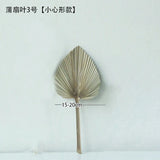 HULIANFU Palm Fan Leaf Palm Leaf Window Reception Party Art Wall Hanging Decoration Wedding Arch Arrangement