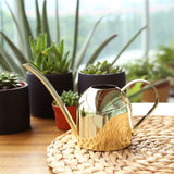 HULIANFU Long Mouth Water Can Stainless Steel Watering Pot Garden Flower Plants Watering Cans 500ML /1000ML Kettle Gardening Tool