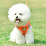 HULIANFU Nylon Mesh Puppy Cat Harnesses Vest Reflective Dog Harness and Leash Set for Chihuahua Pug Small Medium  Walking Lead Leash