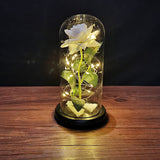 HULIANFU Valentines Day Gift for Girlfriend Eternal Rose LED Light Foil Flower In Glass Cover Mothers Day Wedding favors Bridesmaid Gift