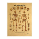 HULIANFU Spinal Column Chart Poster Human Anatomy Knee Joint Foot Posters and Prints Canvas Painting Wall Art For Room Home Decoration