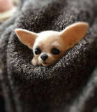 HULIANFU Non finished Handcrafted Pocket Animal Pet Doll Toy Wool Needle Felting Kit Dog Cat Fox Rabbit фетр для рукоделия фетр fieltro