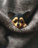 HULIANFU Non finished Handcrafted Pocket Animal Pet Doll Toy Wool Needle Felting Kit Dog Cat Fox Rabbit фетр для рукоделия фетр fieltro