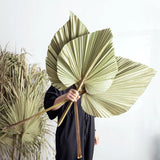 HULIANFU Palm Fan Leaf Palm Leaf Window Reception Party Art Wall Hanging Decoration Wedding Arch Arrangement