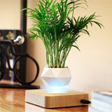 HULIANFU Magnetic suspension flower pot Levitating Air Bonsai Pot plant pot succulent pot patio decoration Desktop Flower/Green Plant