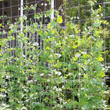 HULIANFU Plant Trellis Netting Heavy-Duty Polyester Plant Support Vine Climbing Hydroponics Garden Net Accessories Multi Use