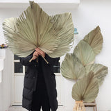 HULIANFU Palm Fan Leaf Dried Flower Palm Leaf Window Reception Party Art Wall Hanging Decoration Wedding Arch Arrangement