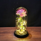 HULIANFU Valentines Day Gift for Girlfriend Eternal Rose LED Light Foil Flower In Glass Cover Mothers Day Wedding favors Bridesmaid Gift