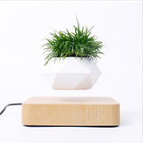 HULIANFU Magnetic suspension flower pot Levitating Air Bonsai Pot plant pot succulent pot patio decoration Desktop Flower/Green Plant