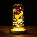 HULIANFU Valentines Day Gift for Girlfriend Eternal Rose LED Light Foil Flower In Glass Cover Mothers Day Wedding favors Bridesmaid Gift