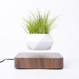 HULIANFU Magnetic suspension flower pot Levitating Air Bonsai Pot plant pot succulent pot patio decoration Desktop Flower/Green Plant