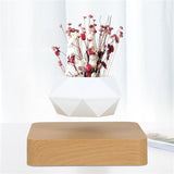 HULIANFU Magnetic suspension flower pot Levitating Air Bonsai Pot plant pot succulent pot patio decoration Desktop Flower/Green Plant