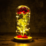 HULIANFU Valentines Day Gift for Girlfriend Eternal Rose LED Light Foil Flower In Glass Cover Mothers Day Wedding favors Bridesmaid Gift