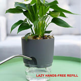 HULIANFU Lazy Self-watering Flowerpot Automatic Water Absorption Succulent Aquaculture Transparent Round Plastic Hydroponic Flowerpot