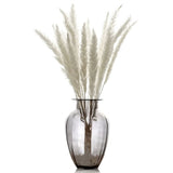 HULIANFU Natural Dried Flowers Lagurus Ovatus Rabbit Bunny Tail Grass Bunch Real Flower Bouquet Pampas Grass for Home Wedding Decoration
