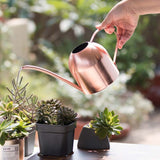 HULIANFU Long Mouth Water Can Stainless Steel Watering Pot Garden Flower Plants Watering Cans 500ML /1000ML Kettle Gardening Tool