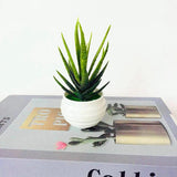 HULIANFU Mini Artificial Aloe Plants Bonsai Small Simulated Tree Pot Plants Fake Flowers Office Table Potted Ornaments Home Garden Decor
